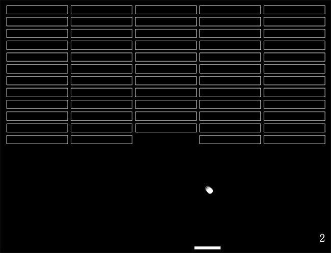  HTML5弹珠砖块游戏源代码