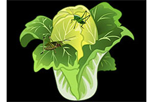 CSS3 3D彩色魔方动画特效