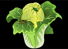  CSS3 3D彩色魔方动画特效