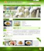 艺帆CMS适合SEO的绿色食品网站