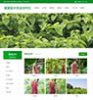 腾和苗木网站管理系统